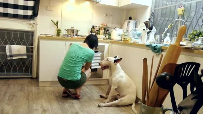 多莉拍摄了斗牛犬的等待女人做饭的食物