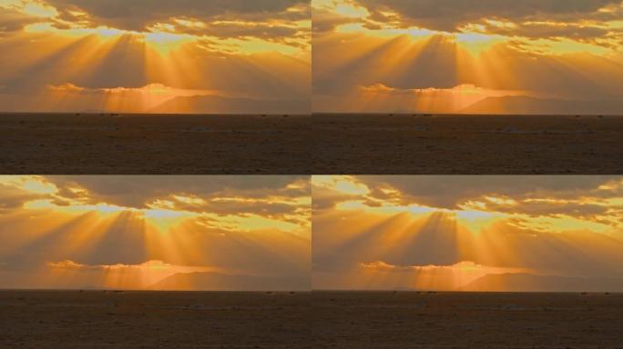 太阳光线在日落时冲破大草原上空的云层，斑马在远处行走。