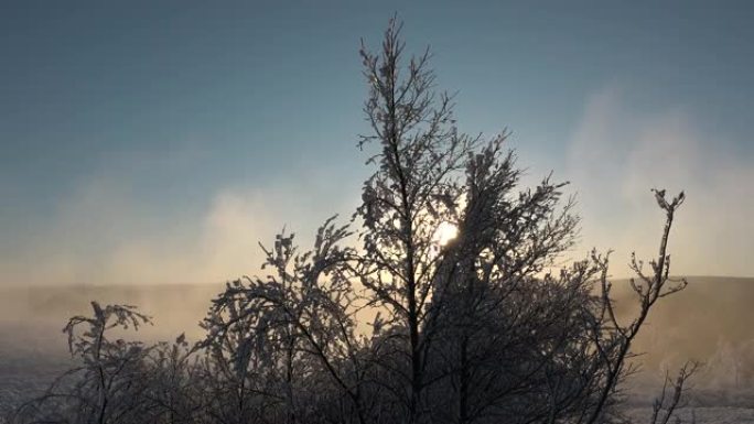 冰岛。美丽的冬季风景。冰岛戏剧性的自然景观。冬天的场景，融化的雪从树上掉下来。美丽的金色太阳。全球变