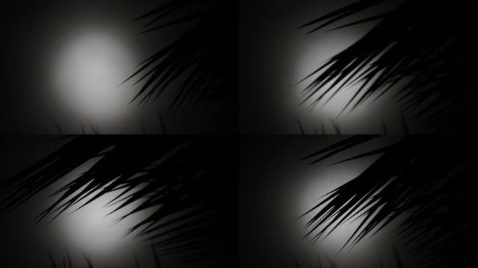 月亮和棕榈树-Luna con palma