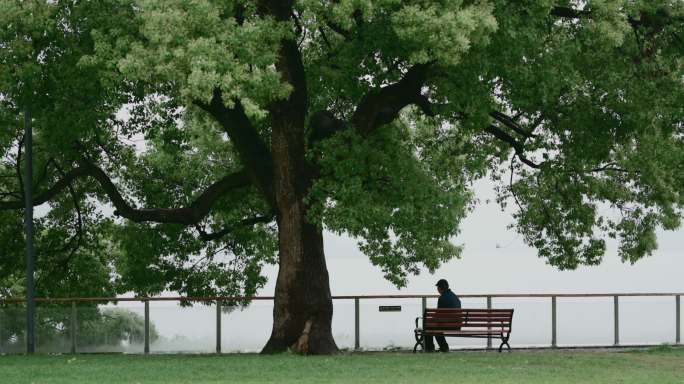 公园里的春天、长椅、自然与休闲生活