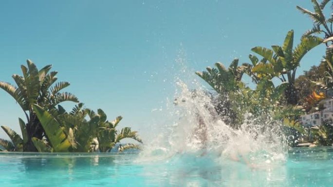 女人在豪华酒店的游泳池里跳，在温暖的阳光明媚的日子，在热带度假胜地有趣的暑假游泳，地中海旅行4k镜头