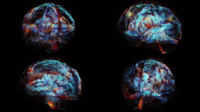 人脑损伤最强大脑部元宇宙头脑数据神经