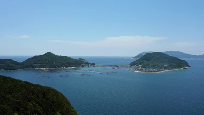 柏岛 (大月、高知)