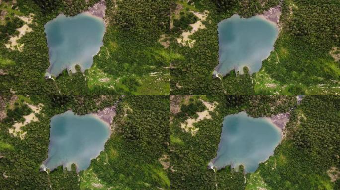 蓝绿色的山湖，碧绿的碧水环绕着绿色的针叶林。