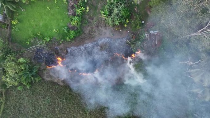 热带森林空地农场的可控燃烧(空中无人机拍摄的视频)