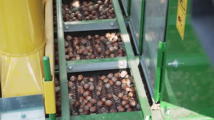 hazelnut核和壳分离机可专业用于分离坚果壳和种子，仁，如杏仁，榛子，核桃，慢动作