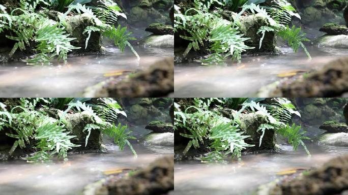 山林深处的特写瀑布