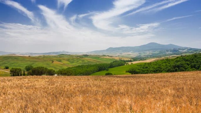 具有绿色山丘和金色麦田的典型托斯卡纳景观
