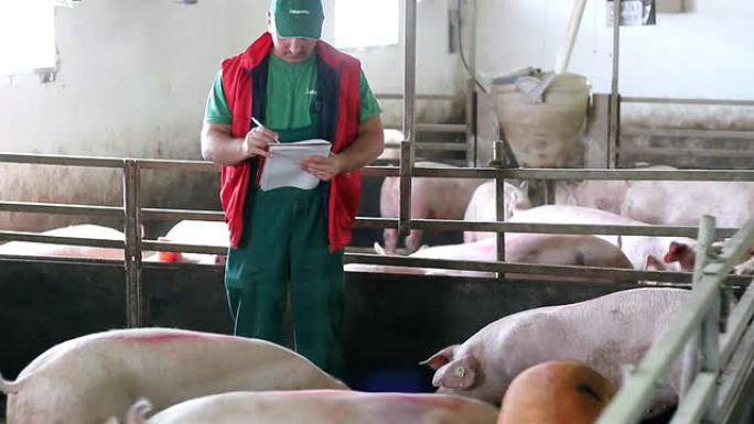 农民和猪