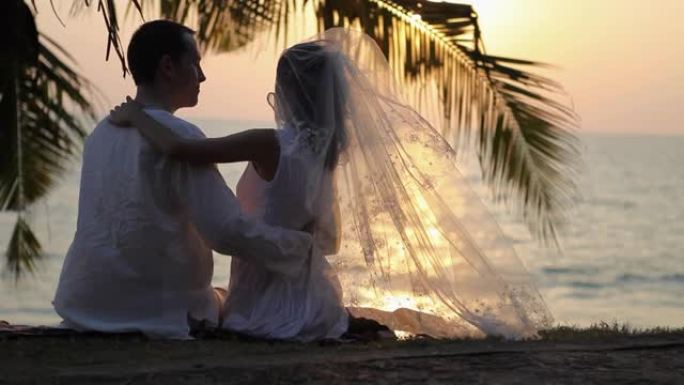 新娘在棕榈枝下抚摸新郎对抗海洋