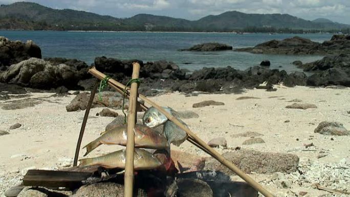 在海滩上烹饪鱼高清视频