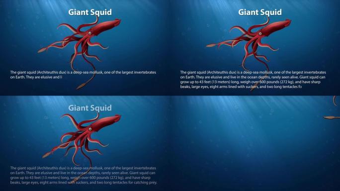 巨型鱿鱼-动画文本信息