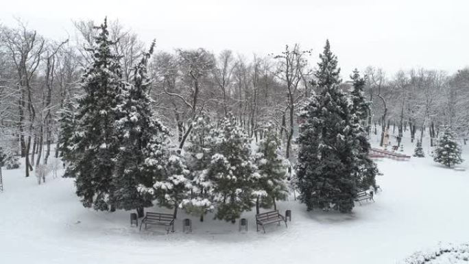 战前城市花园马里乌波尔雪中的树木