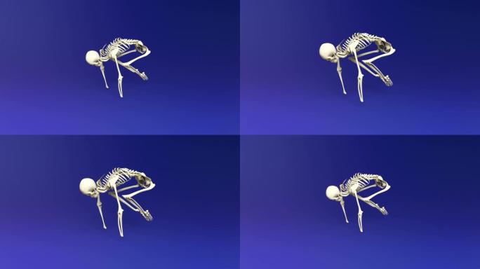 人体骨骼的瑜伽鹤姿势