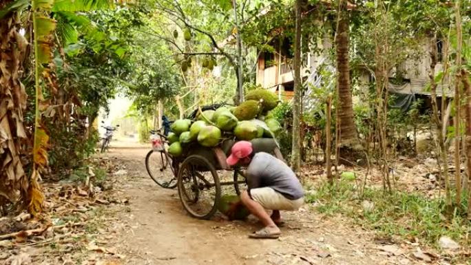 椰子供应商用菠萝蜜装载他的自行车拖车