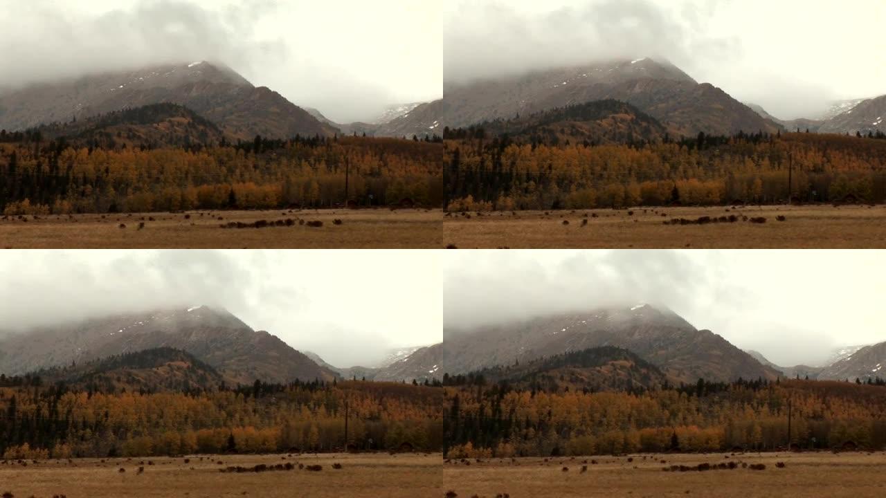 秋天的迷雾山