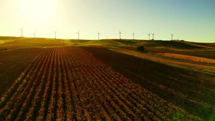 在西西里岛圣宁法镇附近，晴朗的天空下，农田上的风力涡轮机