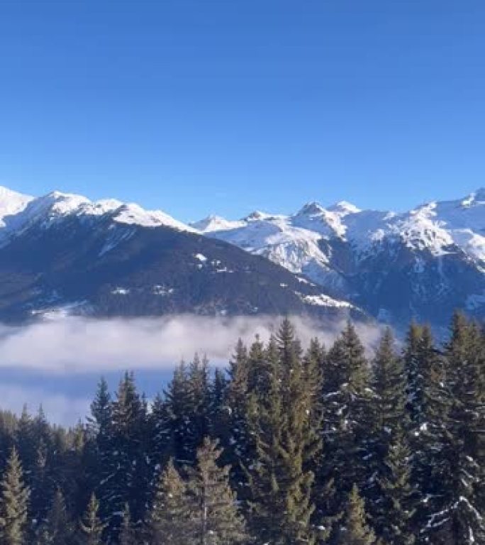 法国阿尔卑斯山雪山和松树的鸟瞰图