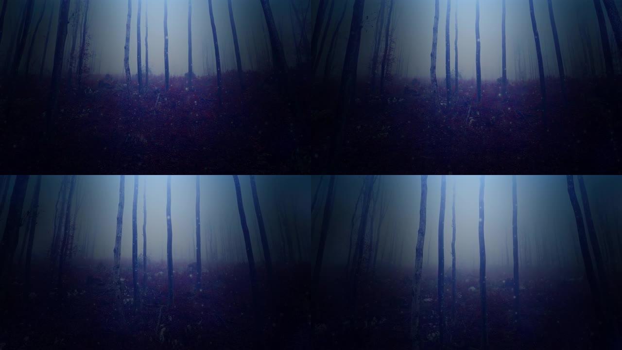 神奇神秘的黑雾森林，美丽的金色萤火虫。