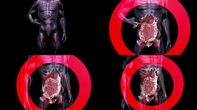 肠道微生物群的4K抽象动画