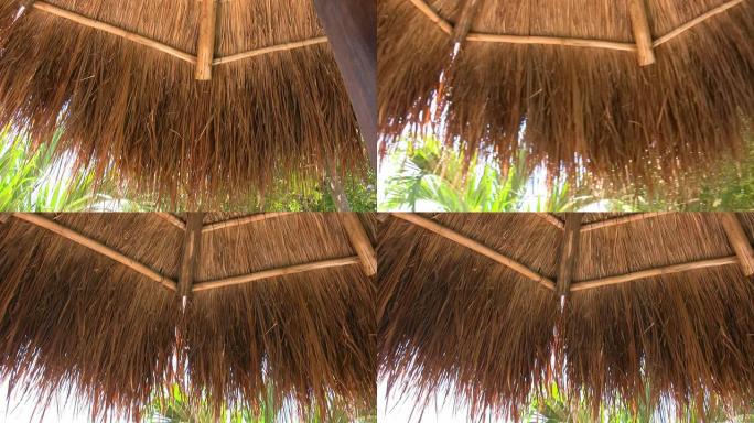 棕榈叶制成的阳伞