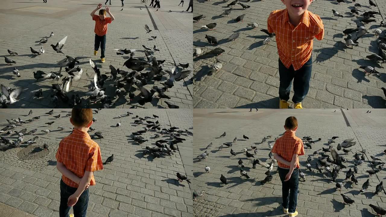 男孩玩鸽子
