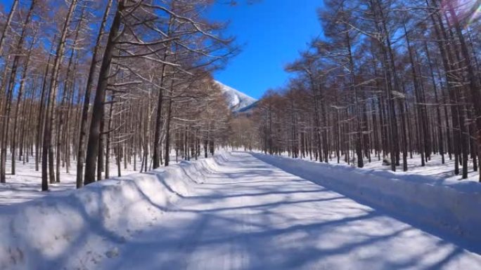 冬季在多雪山区的森林道路上行驶