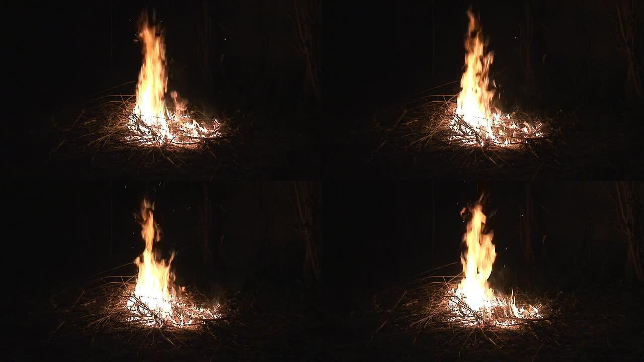 高清: 大自然中的火