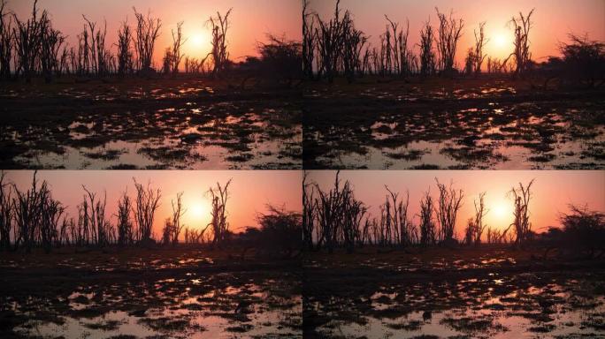 肯尼亚安博塞利国家公园，宁静的湿地景观上令人叹为观止的日落，两只鸟在前面喝酒和钓鱼