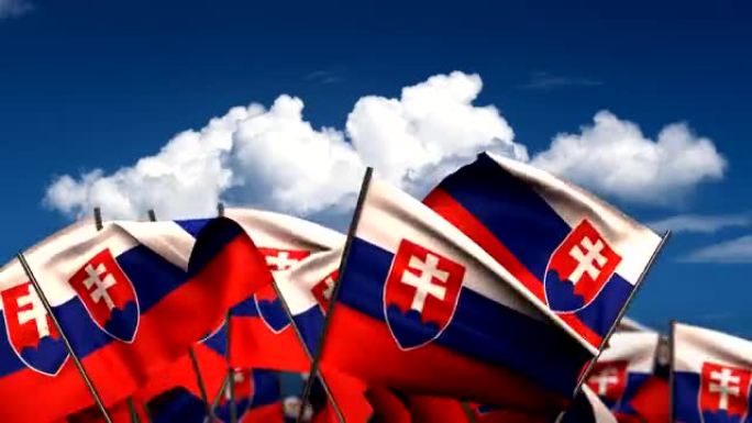 挥舞斯洛伐克国旗