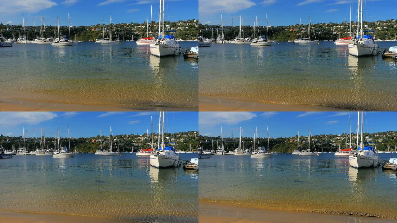 悉尼吐桥附近的海滩 (4K/UHD至高清)