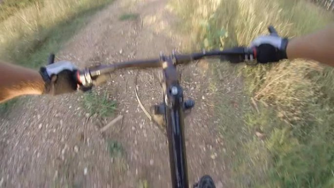 车载摄像头: 骑自行车的人在树林里骑山地自行车