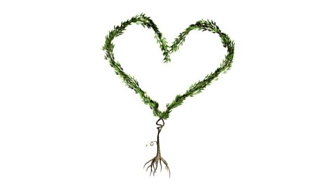 生长的树形成心脏 (与 α)