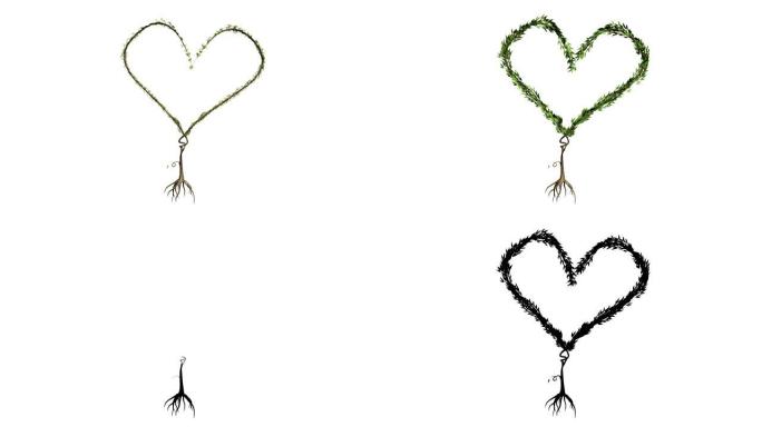 生长的树形成心脏 (与 α)