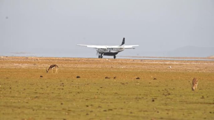 在内罗毕国家公园观光游览野生动物后，LS小型飞机降落