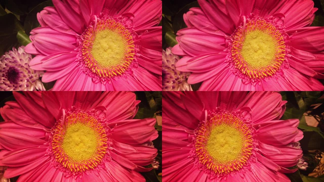 粉色菊花庆典花束