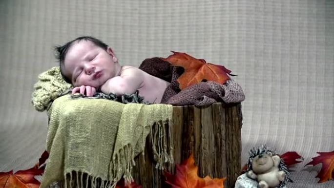 高清: 一张棕色的小床和婴儿的照片