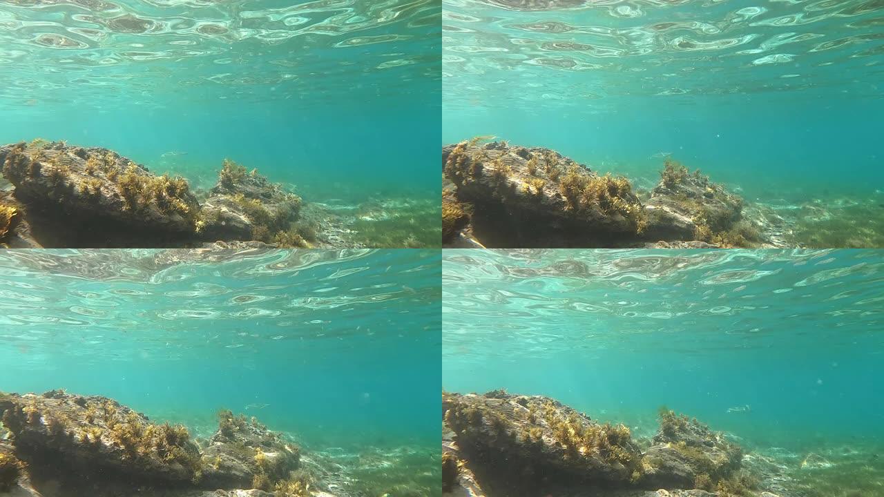 美属维尔京群岛圣约翰珊瑚礁。