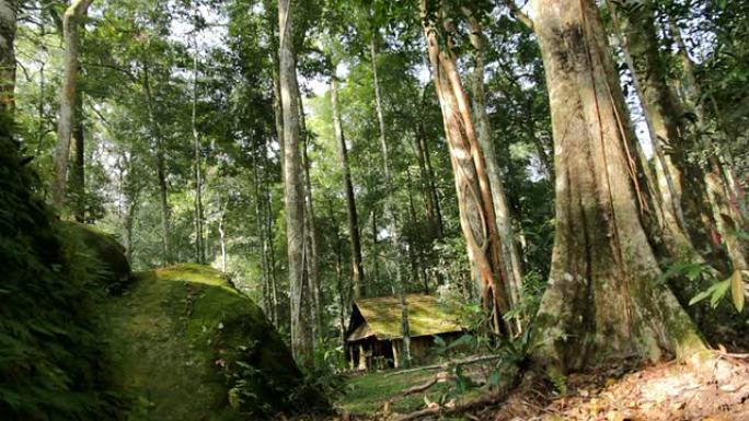 森林中的小屋