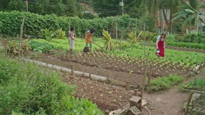 一群在城市社区农场种植有机农产品的人，以促进可持续的环境实践。
