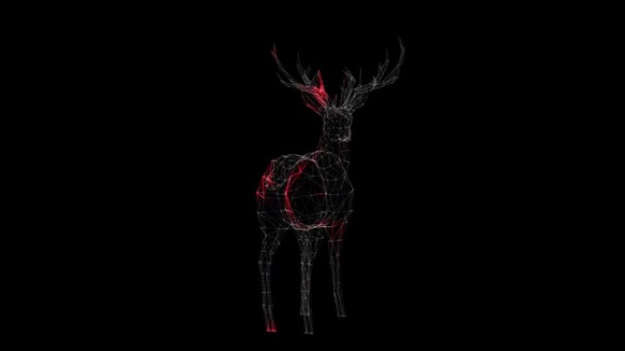 病毒通过鹿在黑色背景上旋转的体积体传播。动物体内病毒的视觉演示。科学医学概念。标题，演示。3D动画