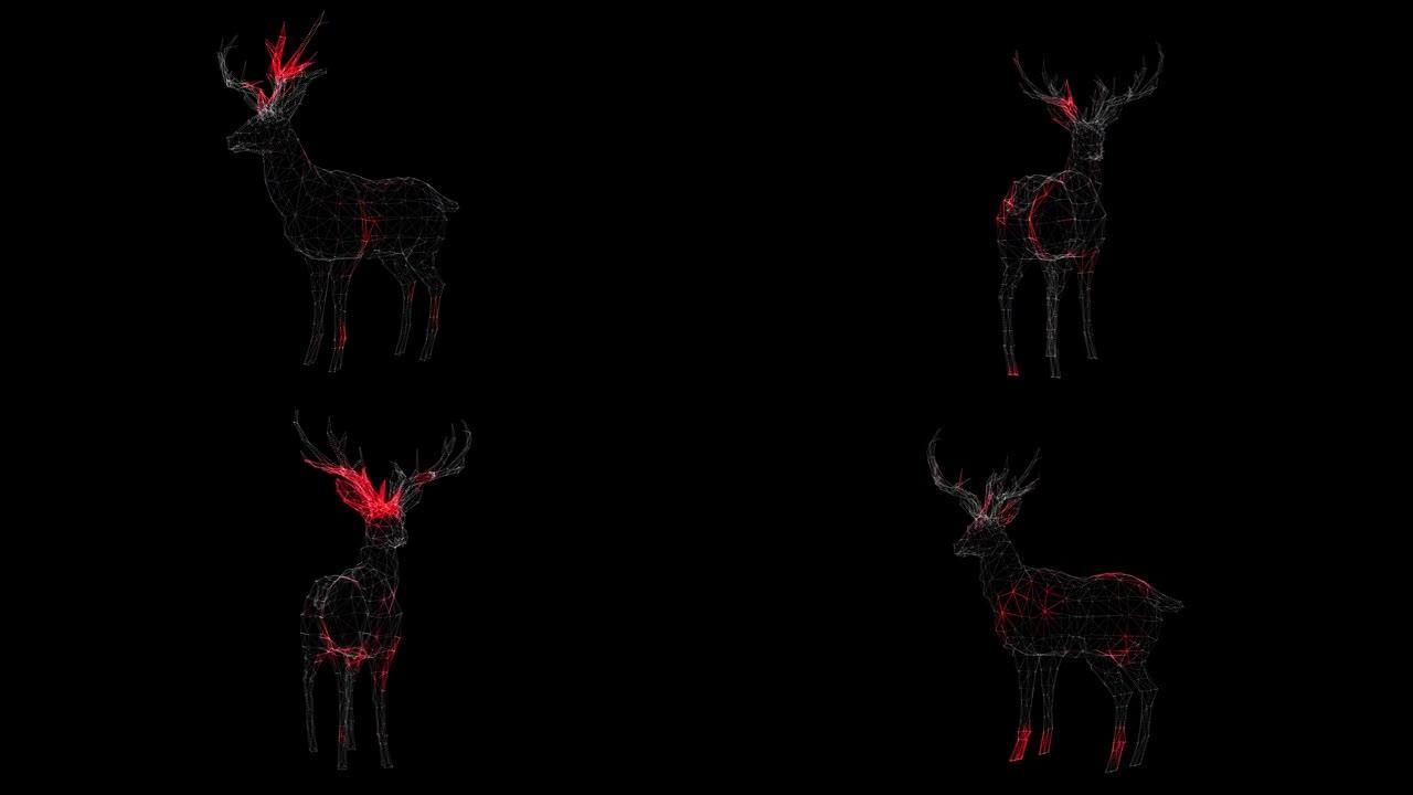病毒通过鹿在黑色背景上旋转的体积体传播。动物体内病毒的视觉演示。科学医学概念。标题，演示。3D动画