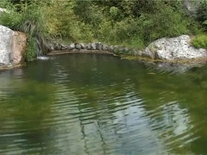池塘。
