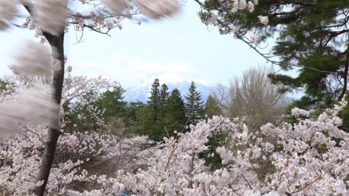 风日山景穿越日本樱花4K