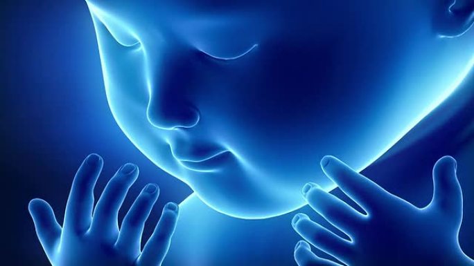 蓝色婴儿胎儿