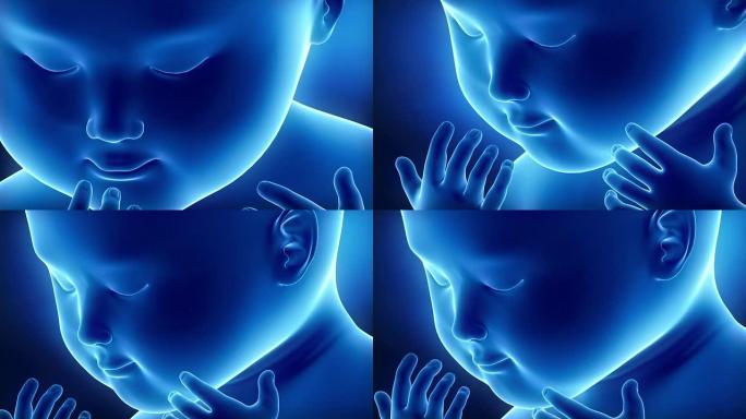 蓝色婴儿胎儿