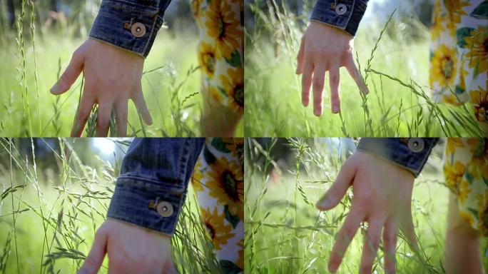 一个女孩的手在手指间感觉高高的草。慢动作。透镜光斑
