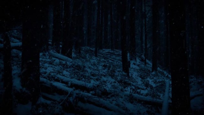 降雪中的黑暗冬季树林