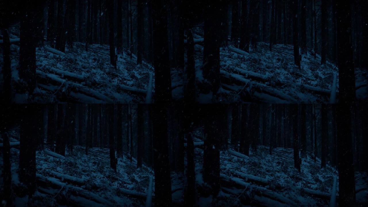 降雪中的黑暗冬季树林